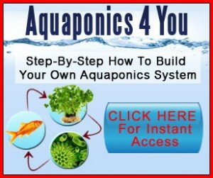 #aquaponics4